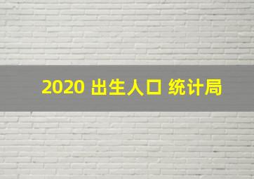 2020 出生人口 统计局